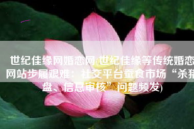 世纪佳缘网婚恋网(世纪佳缘等传统婚恋网站步履艰难：社交平台蚕食市场“杀猪盘、信息审核”问题频发)