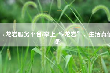 e龙岩服务平台(掌上“e龙岩”，生活真便捷)