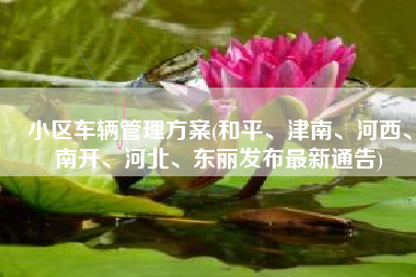 小区车辆管理方案(和平、津南、河西、南开、河北、东丽发布最新通告)