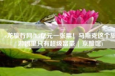 e龙旅行网(3.5亿元一张票！马斯克这个旅游团里只有超级富豪 | 京酿馆)
