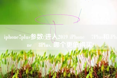 iphone7plus参数(进入2019 iPhone 7Plus和iPhone 8Plus, 哪个更值得买?)