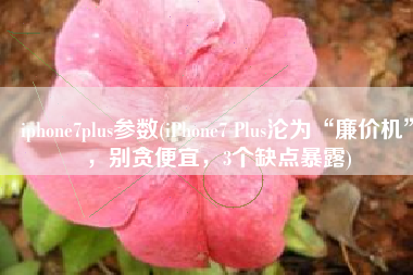 iphone7plus参数(iPhone7 Plus沦为“廉价机”，别贪便宜，3个缺点暴露)