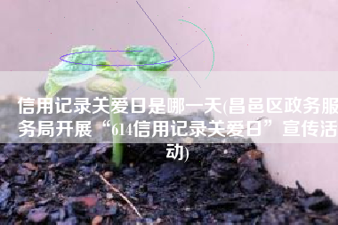 信用记录关爱日是哪一天(昌邑区政务服务局开展“614信用记录关爱日”宣传活动)