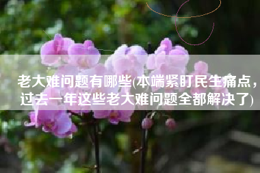 老大难问题有哪些(本端紧盯民生痛点，过去一年这些老大难问题全都解决了)