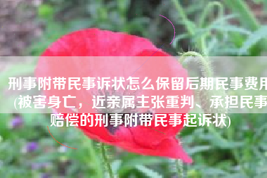 刑事附带民事诉状怎么保留后期民事费用(被害身亡，近亲属主张重判、承担民事赔偿的刑事附带民事起诉状)