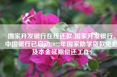 国家开发银行在线还款(国家开发银行、中国银行已启动2022年国家助学贷款免息及本金延期偿还工作)