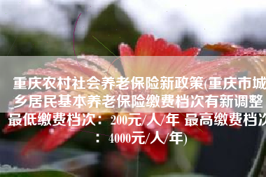 重庆农村社会养老保险新政策(重庆市城乡居民基本养老保险缴费档次有新调整 最低缴费档次：200元/人/年 最高缴费档次：4000元/人/年)