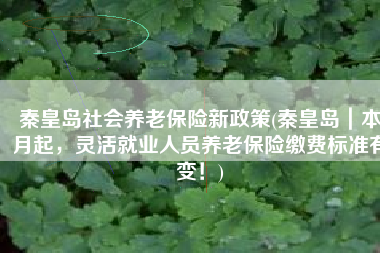 秦皇岛社会养老保险新政策(秦皇岛｜本月起，灵活就业人员养老保险缴费标准有变！)