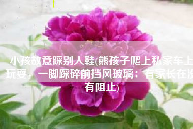 小孩故意踩别人鞋(熊孩子爬上私家车上玩耍，一脚踩碎前挡风玻璃：有家长在没有阻止)