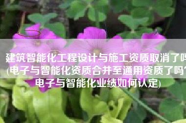 建筑智能化工程设计与施工资质取消了吗(电子与智能化资质合并至通用资质了吗？电子与智能化业绩如何认定)