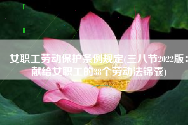 女职工劳动保护条例规定(三八节2022版：献给女职工的38个劳动法锦囊)