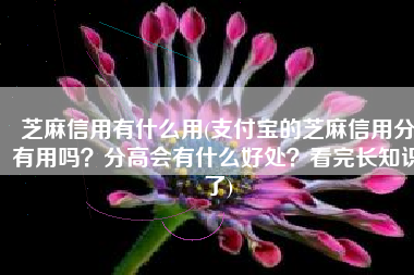 芝麻信用有什么用(支付宝的芝麻信用分有用吗？分高会有什么好处？看完长知识了)