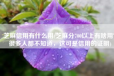 芝麻信用有什么用(芝麻分700以上有啥用？很多人都不知道，这可是信用的证明)