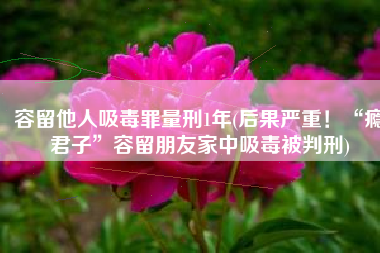 容留他人吸毒罪量刑1年(后果严重！“瘾君子”容留朋友家中吸毒被判刑)