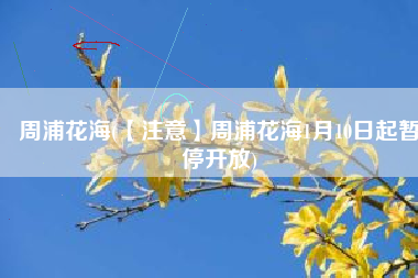 周浦花海(【注意】周浦花海1月10日起暂停开放)