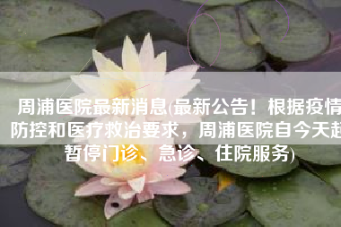 周浦医院最新消息(最新公告！根据疫情防控和医疗救治要求，周浦医院自今天起暂停门诊、急诊、住院服务)