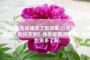 河南公务员绩效工资改革(公务员​“绩效奖”如何发放？各地区情况不同，教师也需多了解)