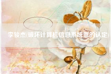 李骏杰(破坏计算机信息系统罪的认定)
