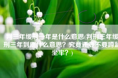判三年缓刑一年是什么意思(判刑三年缓刑三年到底什么意思？究竟还要不要蹲监坐牢？)