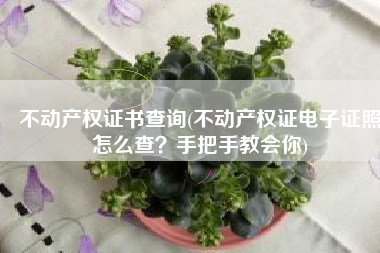 不动产权证书查询(不动产权证电子证照怎么查？手把手教会你)