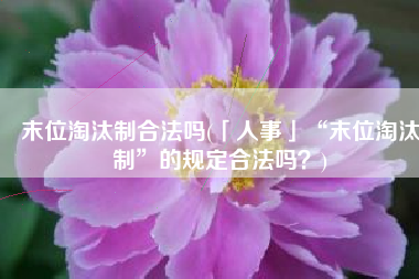 末位淘汰制合法吗(「人事」“末位淘汰制”的规定合法吗？)