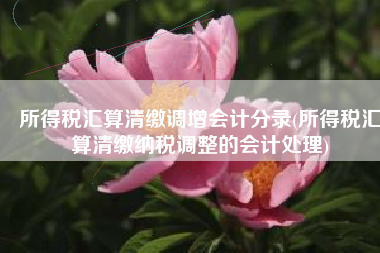 所得税汇算清缴调增会计分录(所得税汇算清缴纳税调整的会计处理)