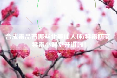 合成毒品有哪些北美仙人球(禁毒防艾 | 禁毒小课堂开讲啦！)