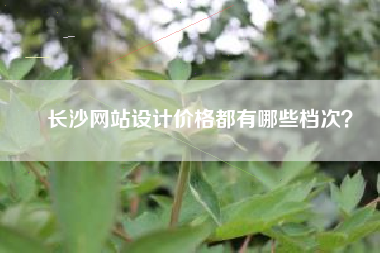 长沙网站设计价格都有哪些档次？