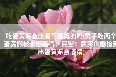 吃蛋黄派查出酒驾是真的吗(男子吃两个蛋黄派被查出酒驾，民警：属实仪器检测出蛋黄派含酒精)