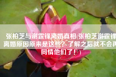 张柏芝与谢霆锋离婚真相(张柏芝谢霆锋离婚原因原来是这些？了解之后就不会再同情他们了！)