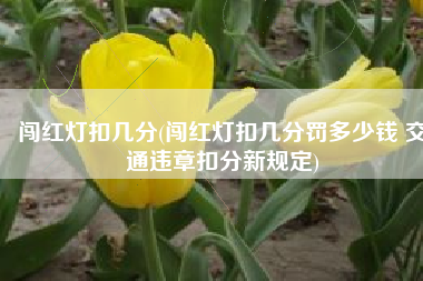 闯红灯扣几分(闯红灯扣几分罚多少钱 交通违章扣分新规定)