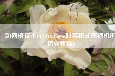 动网格技术(ANSYS Forte对容积式压缩机的仿真教程)