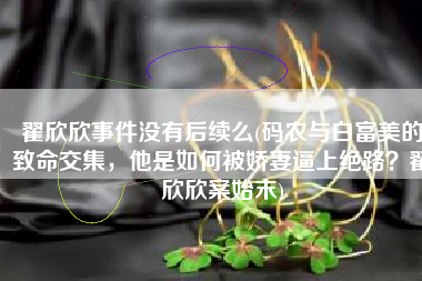 翟欣欣事件没有后续么(码农与白富美的致命交集，他是如何被娇妻逼上绝路？翟欣欣案始末)