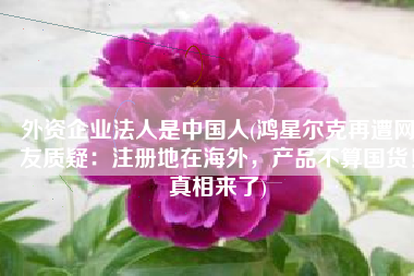 外资企业法人是中国人(鸿星尔克再遭网友质疑：注册地在海外，产品不算国货！真相来了)