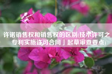 许诺销售权和销售权的区别(技术许可之「专利实施许可合同」起草审查要点)