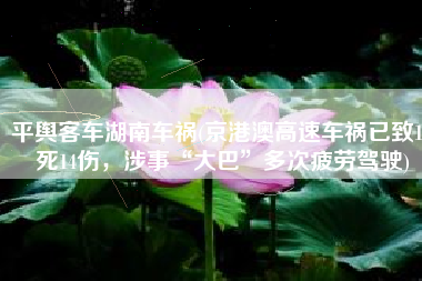 平舆客车湖南车祸(京港澳高速车祸已致18死14伤，涉事“大巴”多次疲劳驾驶)