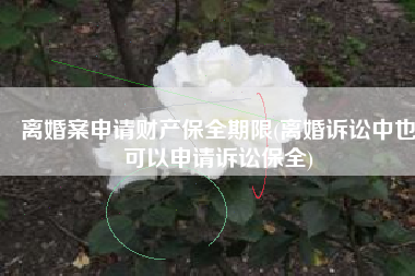 离婚案申请财产保全期限(离婚诉讼中也可以申请诉讼保全)