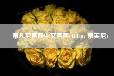 蒂凡尼官网中文官网(Tiffany 蒂芙尼)