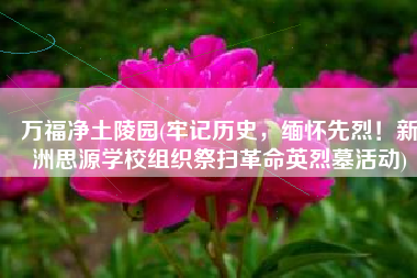 万福净土陵园(牢记历史，缅怀先烈！新洲思源学校组织祭扫革命英烈墓活动)