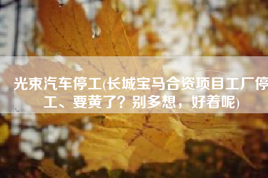 光束汽车停工(长城宝马合资项目工厂停工、要黄了？别多想，好着呢)