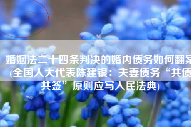 婚姻法二十四条判决的婚内债务如何翻案(全国人大代表陈建银：夫妻债务“共债共签”原则应写入民法典)