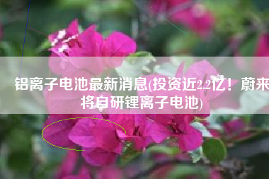 铝离子电池最新消息(投资近2.2亿！蔚来将自研锂离子电池)