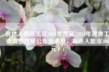 退休人员涨工资2021年方案(2021年退休工资调整方案公布新消息，有些人能涨300元？)