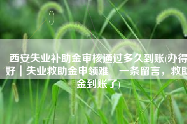 西安失业补助金审核通过多久到账(办得好｜失业救助金申领难 一条留言，救助金到账了)