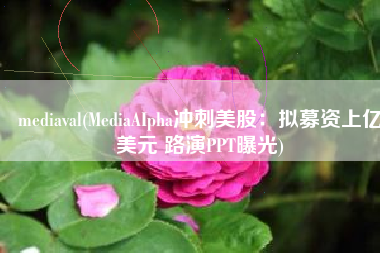 mediaval(MediaAIpha冲刺美股：拟募资上亿美元 路演PPT曝光)