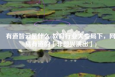 有道智云是什么(教育行业大变局下，网易有道的「非即兴演出」)
