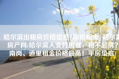 哈尔滨出租房价格信息|房价租金|哈尔滨房产网(哈尔滨人支付困难，租不起房？南岗、道里租金价格最高！平房垫底)