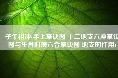 子午相冲(手上掌诀图 十二地支六冲掌诀图与生肖时辰六合掌诀图 地支的作用)