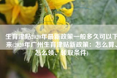 生育津贴2020年最新政策一般多久可以下来(2020年广州生育津贴新政策：怎么算、怎么领、领取条件)