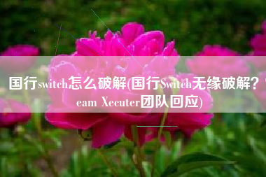国行switch怎么破解(国行Switch无缘破解？Team Xecuter团队回应)